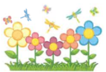 drawing of butterflies and flowers