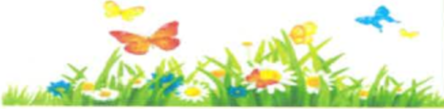 drawing of butterflies in wild field